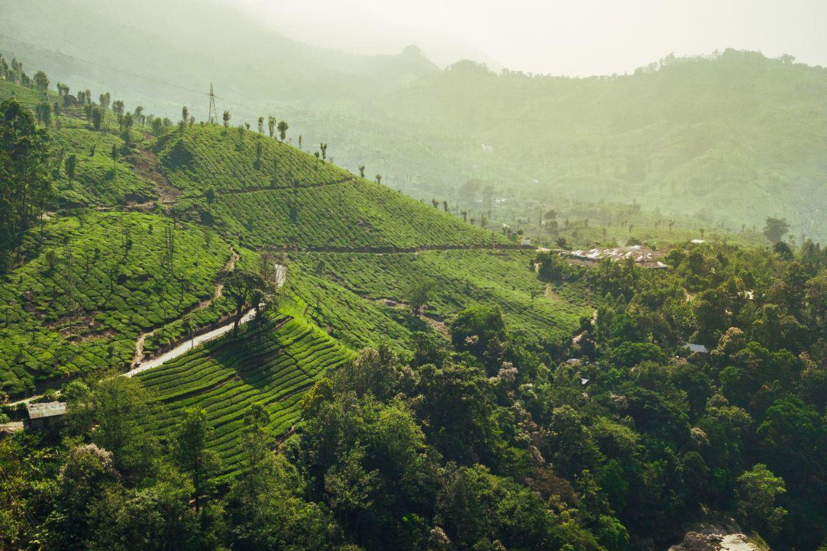 The best 3-day itinerary for Munnar