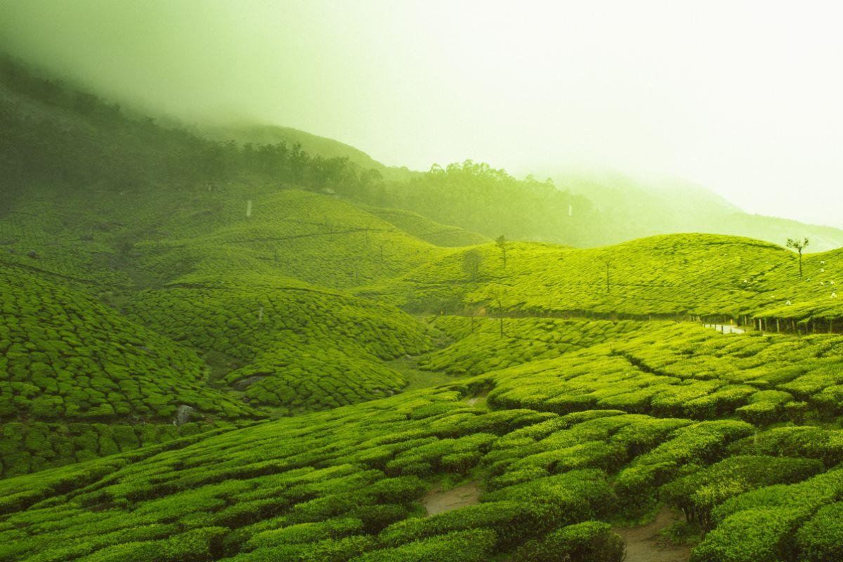 Why is Ooty the best place to visit with your soulmate