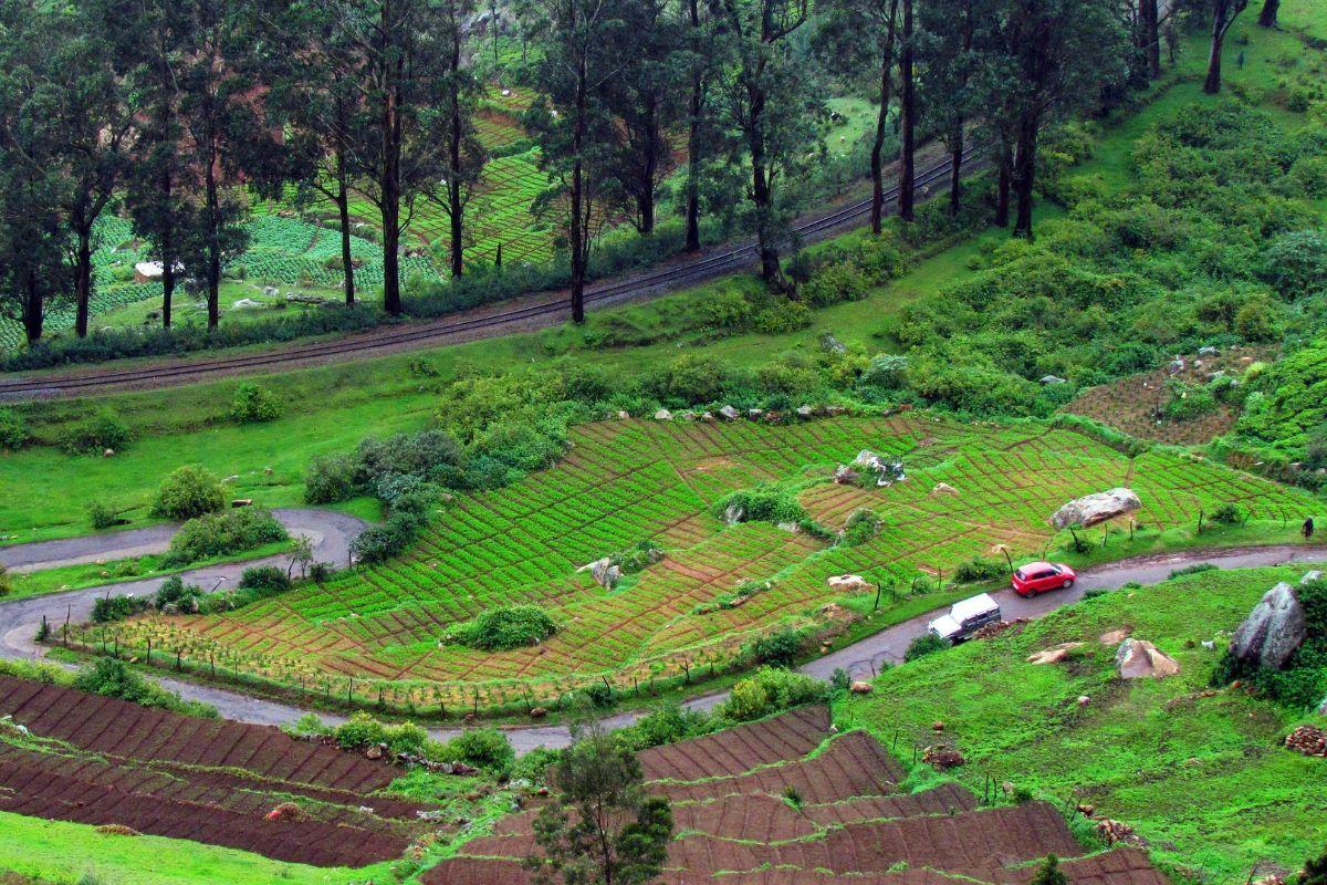 15 Things to do in Ooty