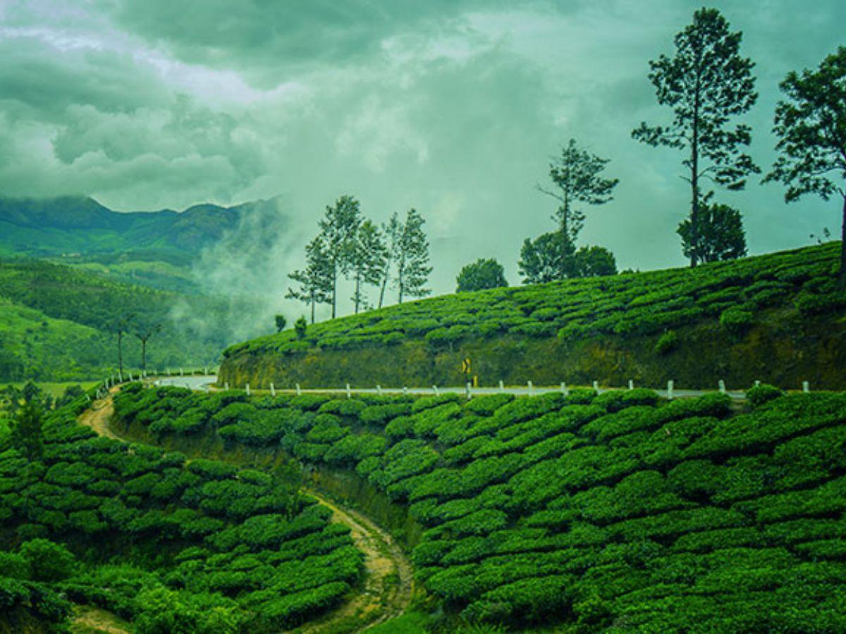 Why backpackers love monsoons in Kerala