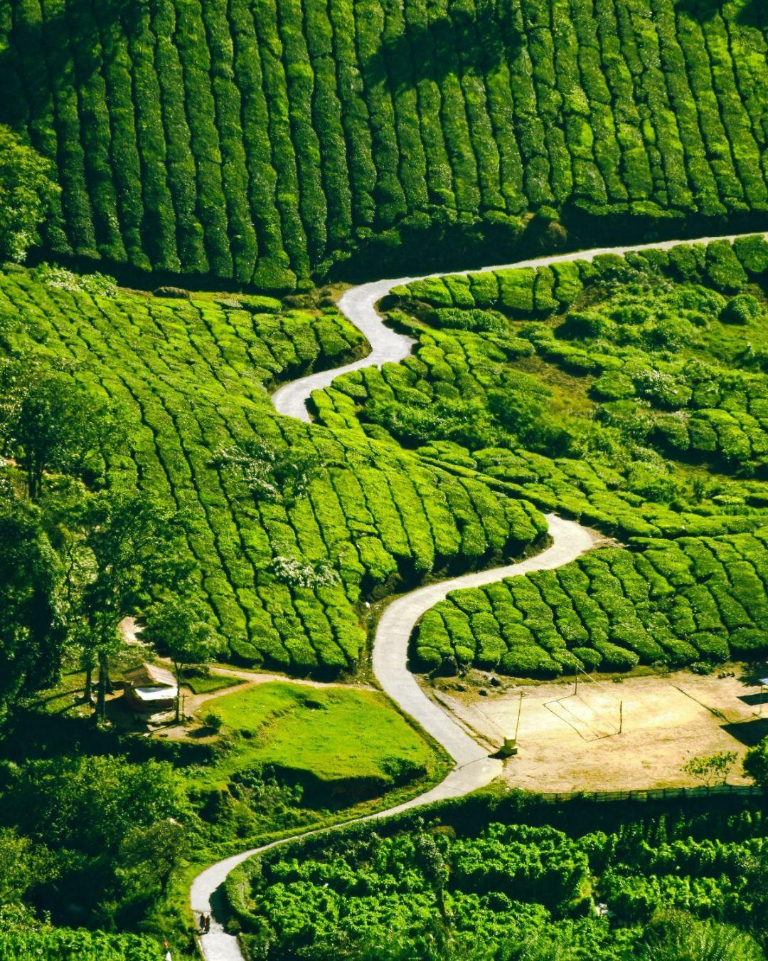 Munnar