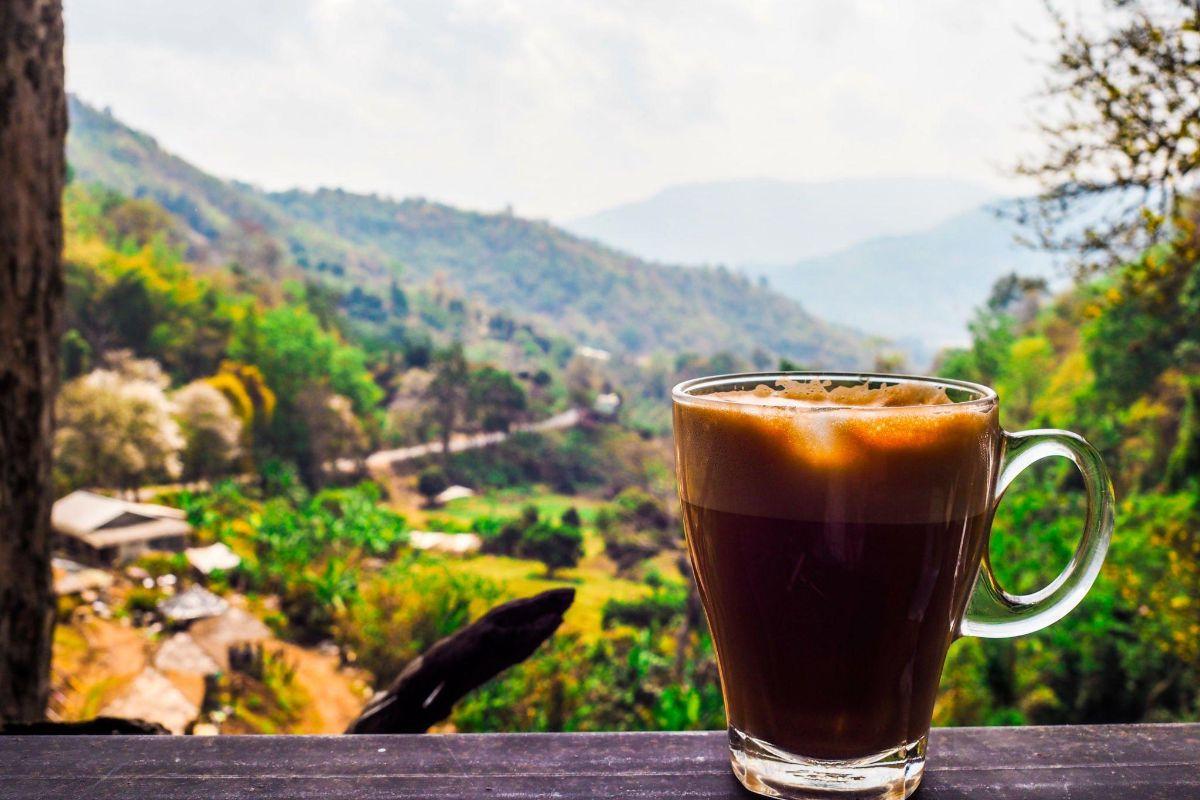 Explore these 8 best cafes in Kasol to satisfy your cravings