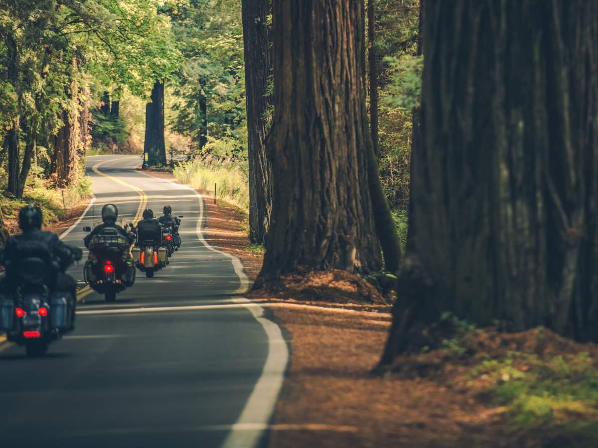 ⁠⁠Top 8 biking routes in South India: A rider's paradise