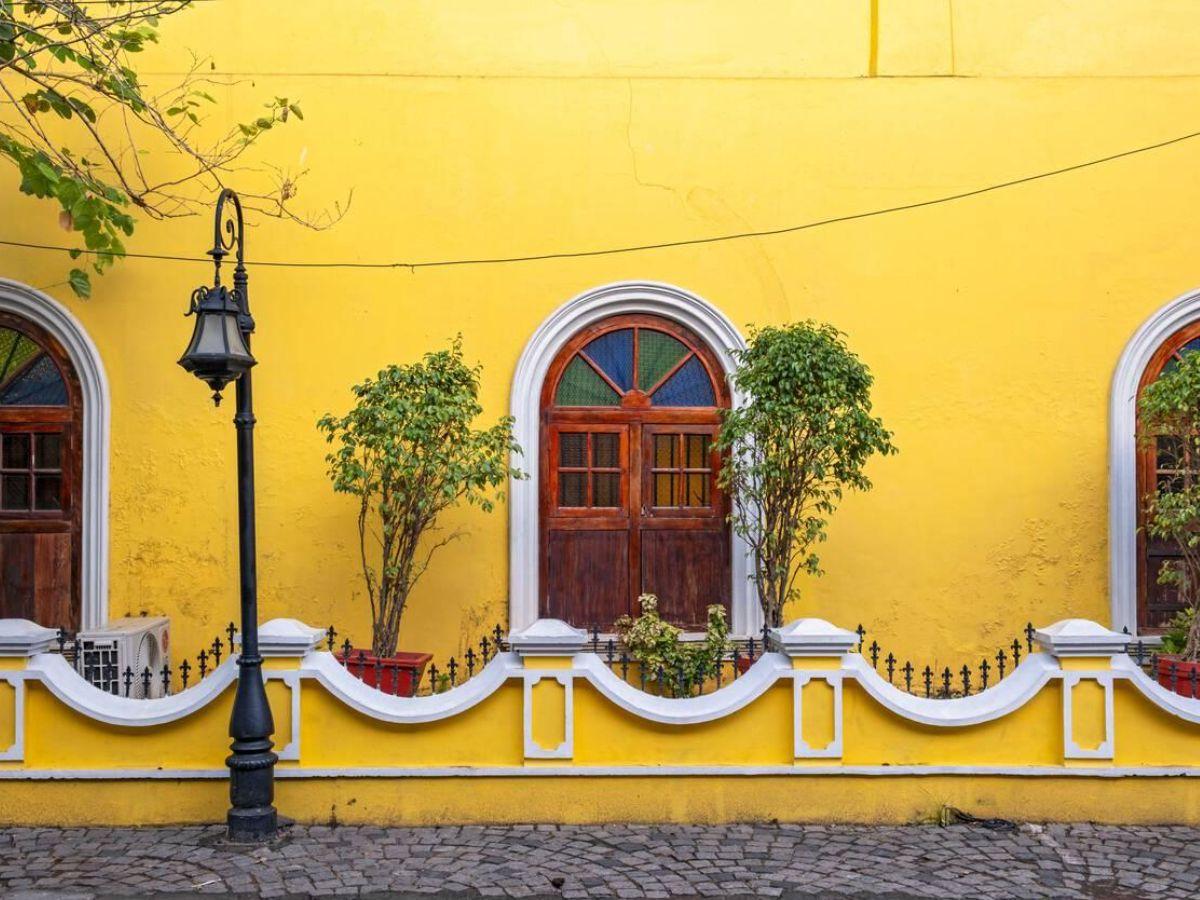 7 Best things to do in Fort Kochi