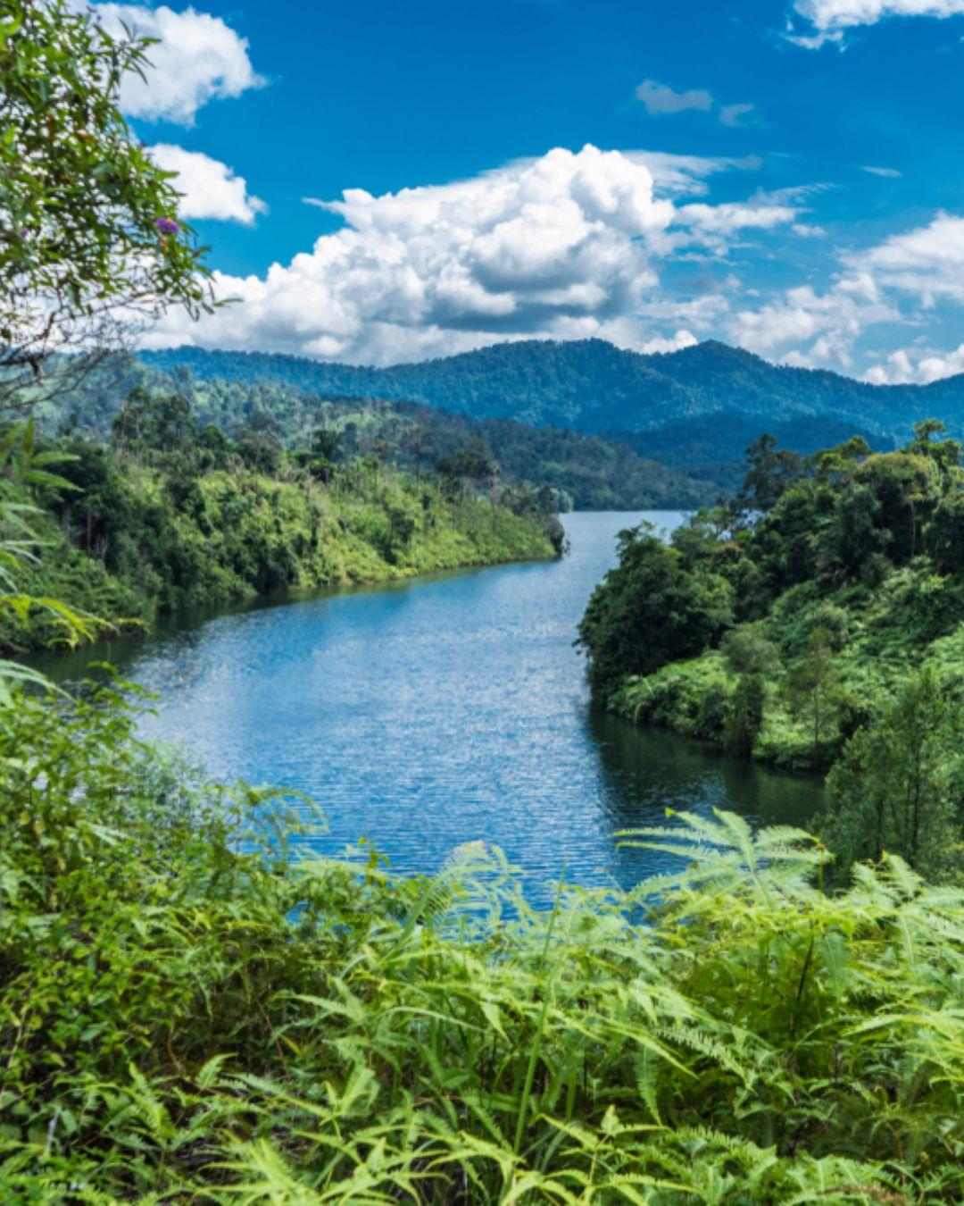 Bhandardara