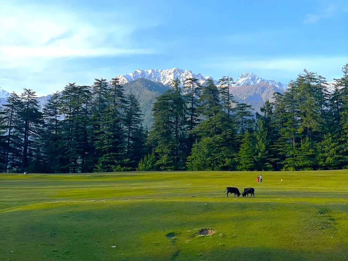 Top 10 things to do in Jibhi, Himachal Pradesh