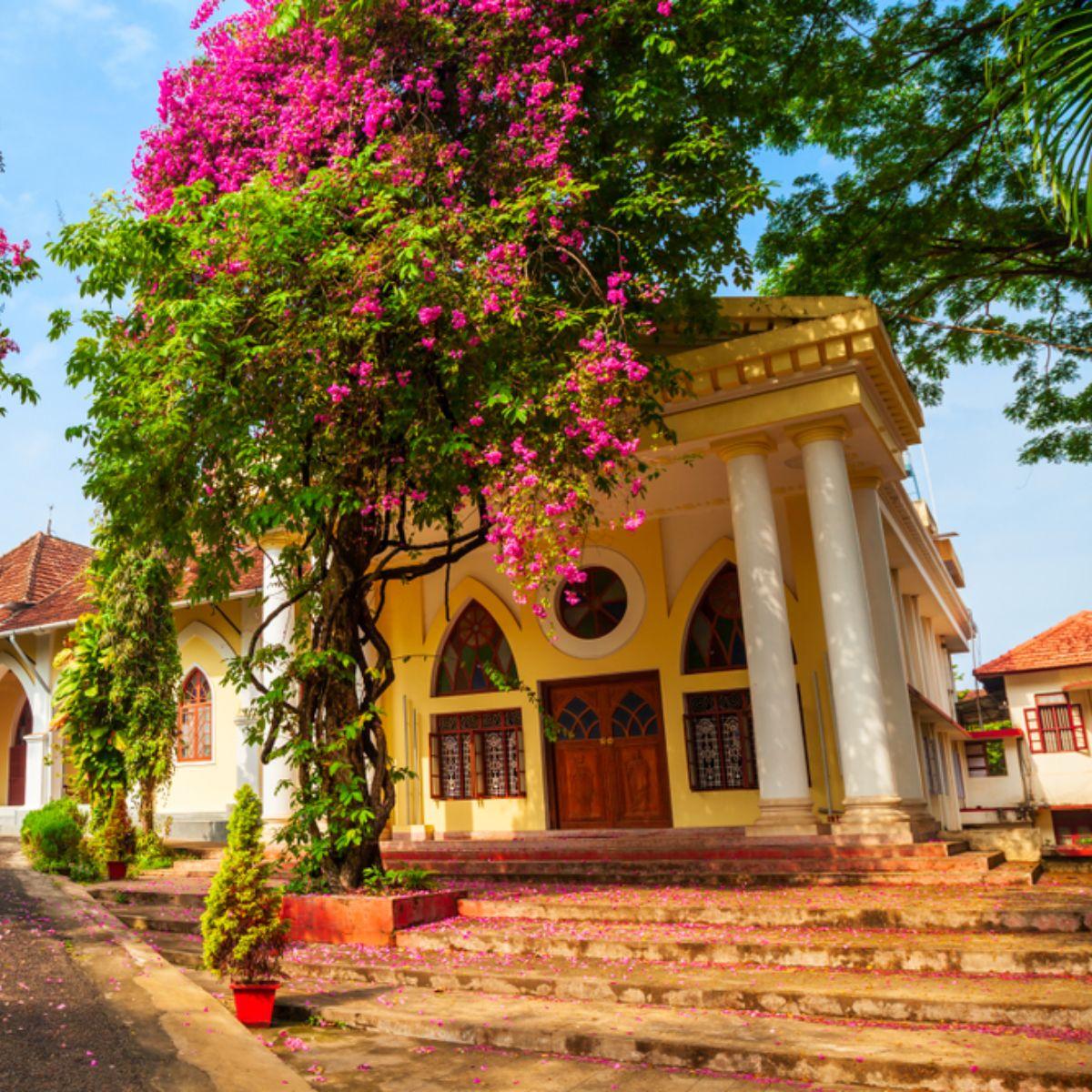 Hostels in Fort Kochi