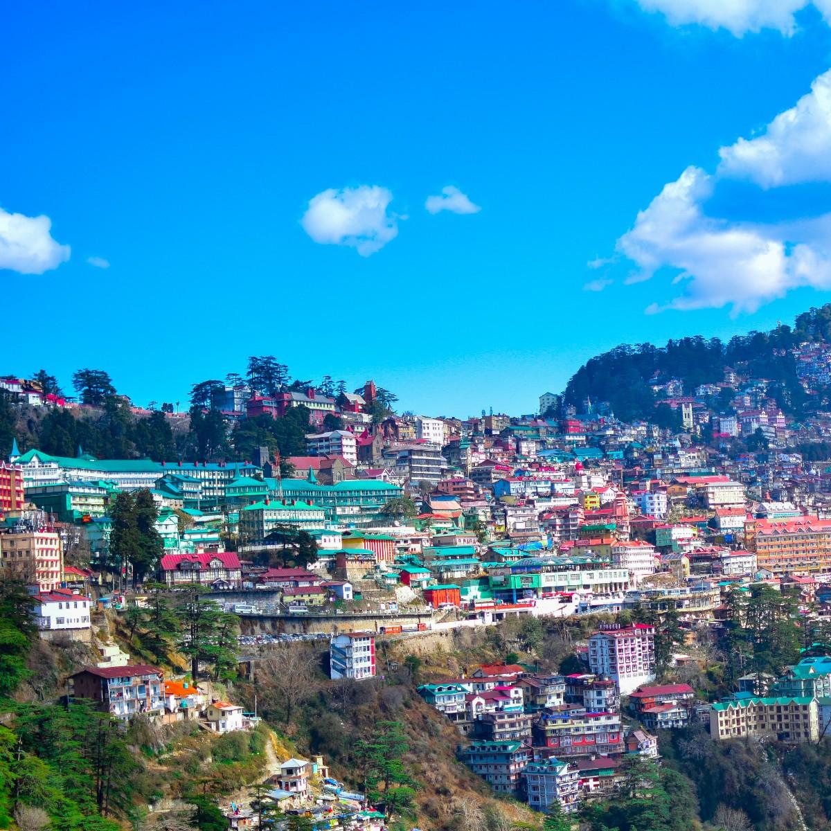 Shimla