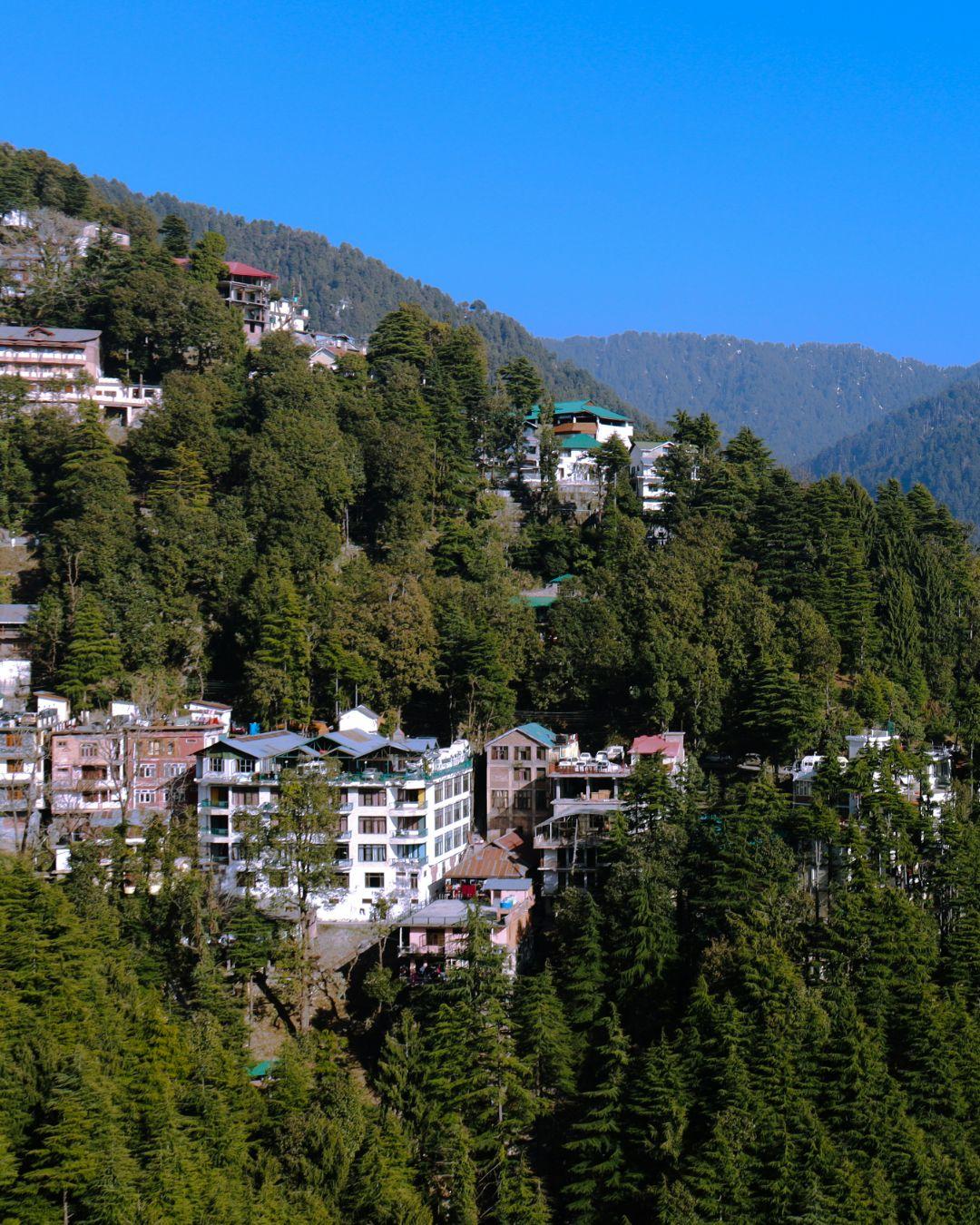 The Hosteller Dalhousie