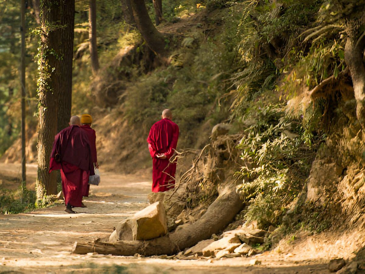 A blockbuster 2 day itinerary for Dharamshala
