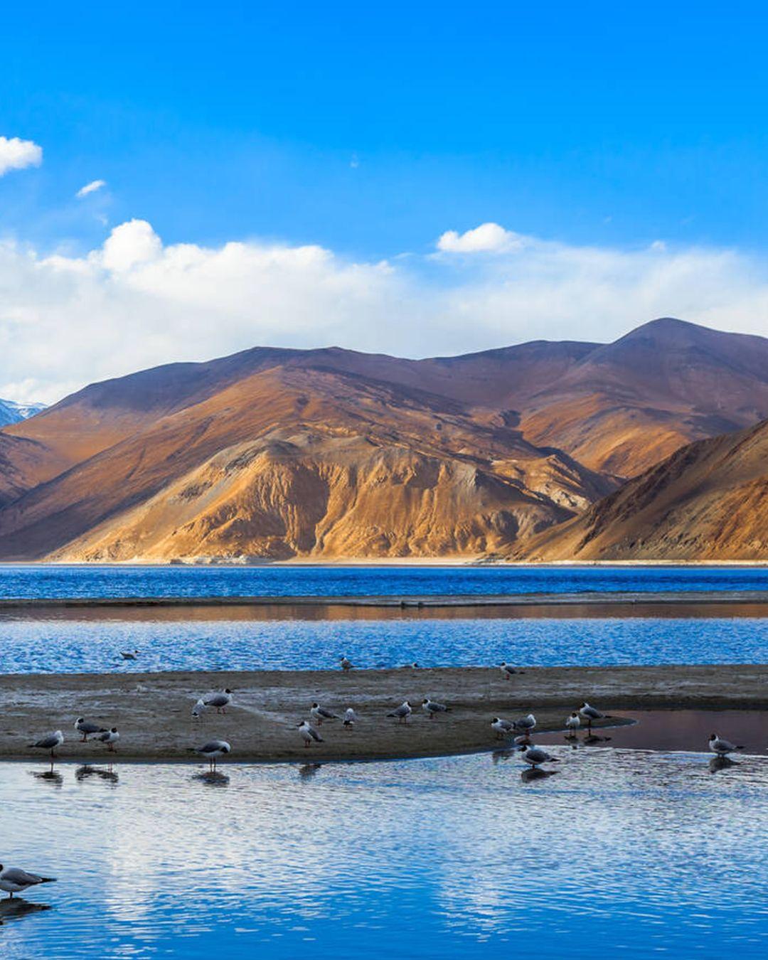 LEH