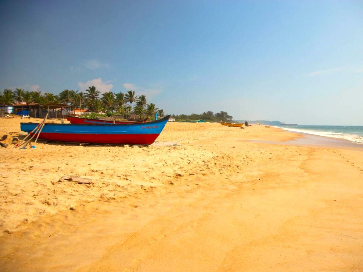 10 fun things to do in and around Calangute, Goa
