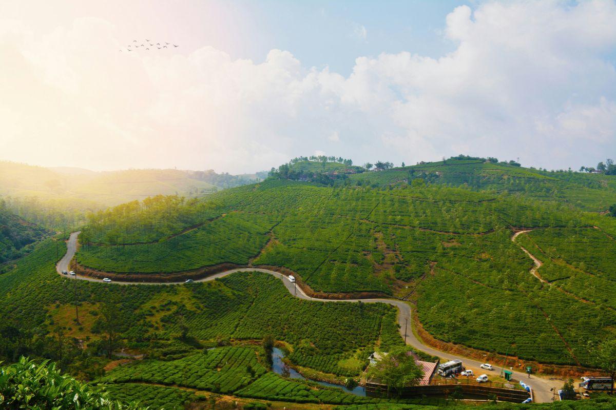 10 Best Things to Do in Vagamon, Kerala (2026 Travel Guide)