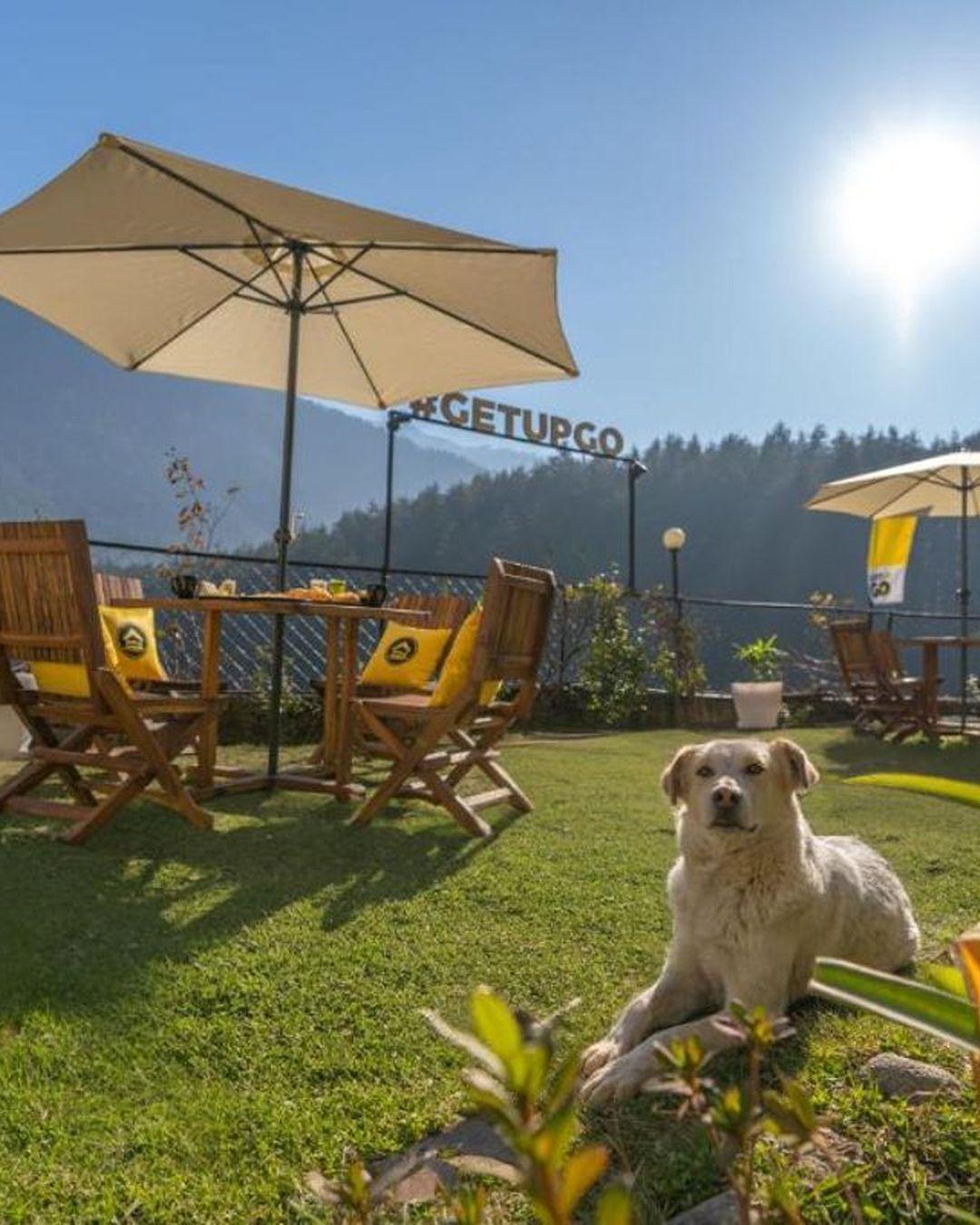 The Hosteller Manali, Old Manali