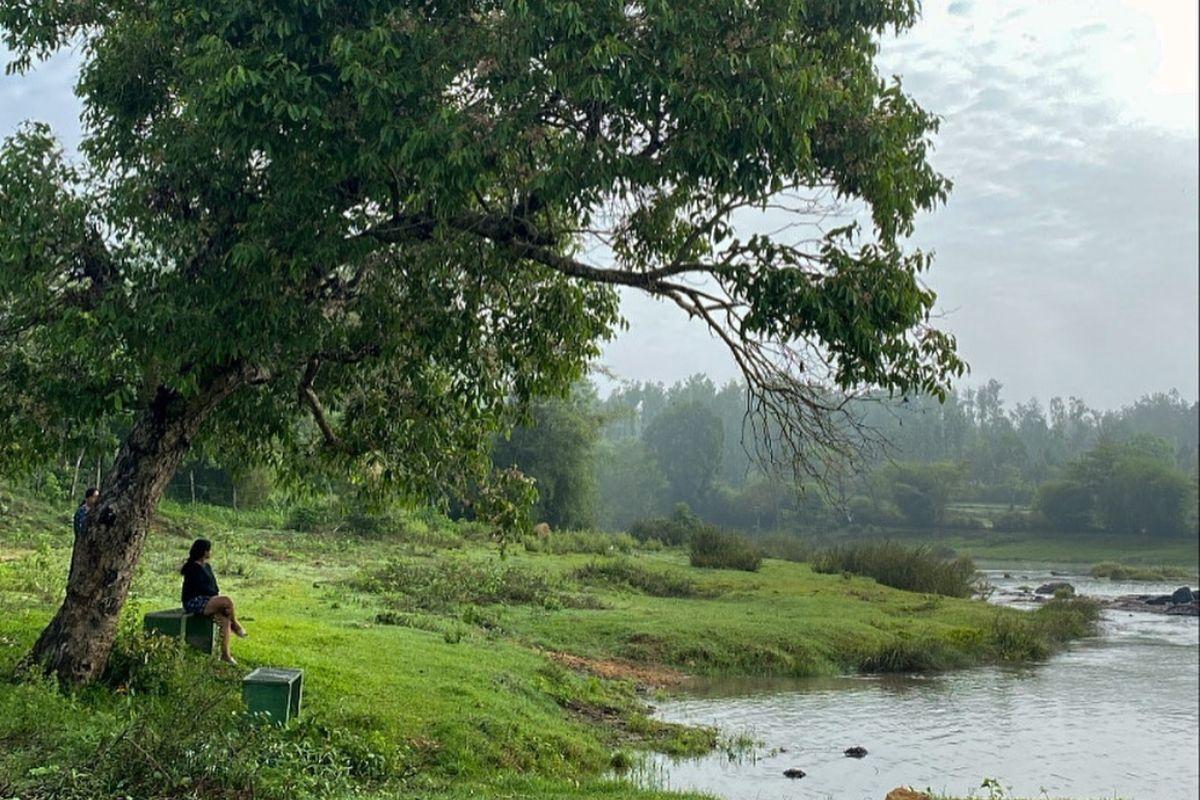 The ultimate trekking guide: Trekking trails to explore while in Coorg