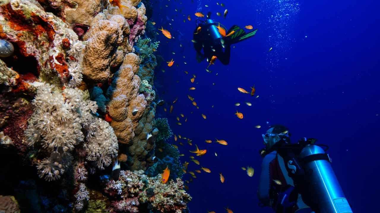 Best Scuba diving spots in India