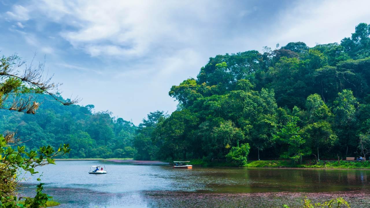 Exploring the wonders of Wayanad: 8 attractions to enjoy during the monsoon season